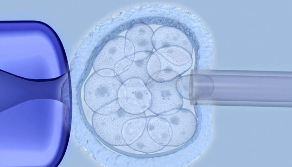 Embryo-biopsy